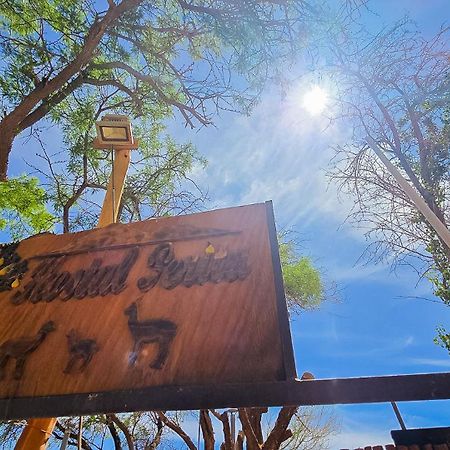 Hostal Perita San Pedro De Atacama Zewnętrze zdjęcie